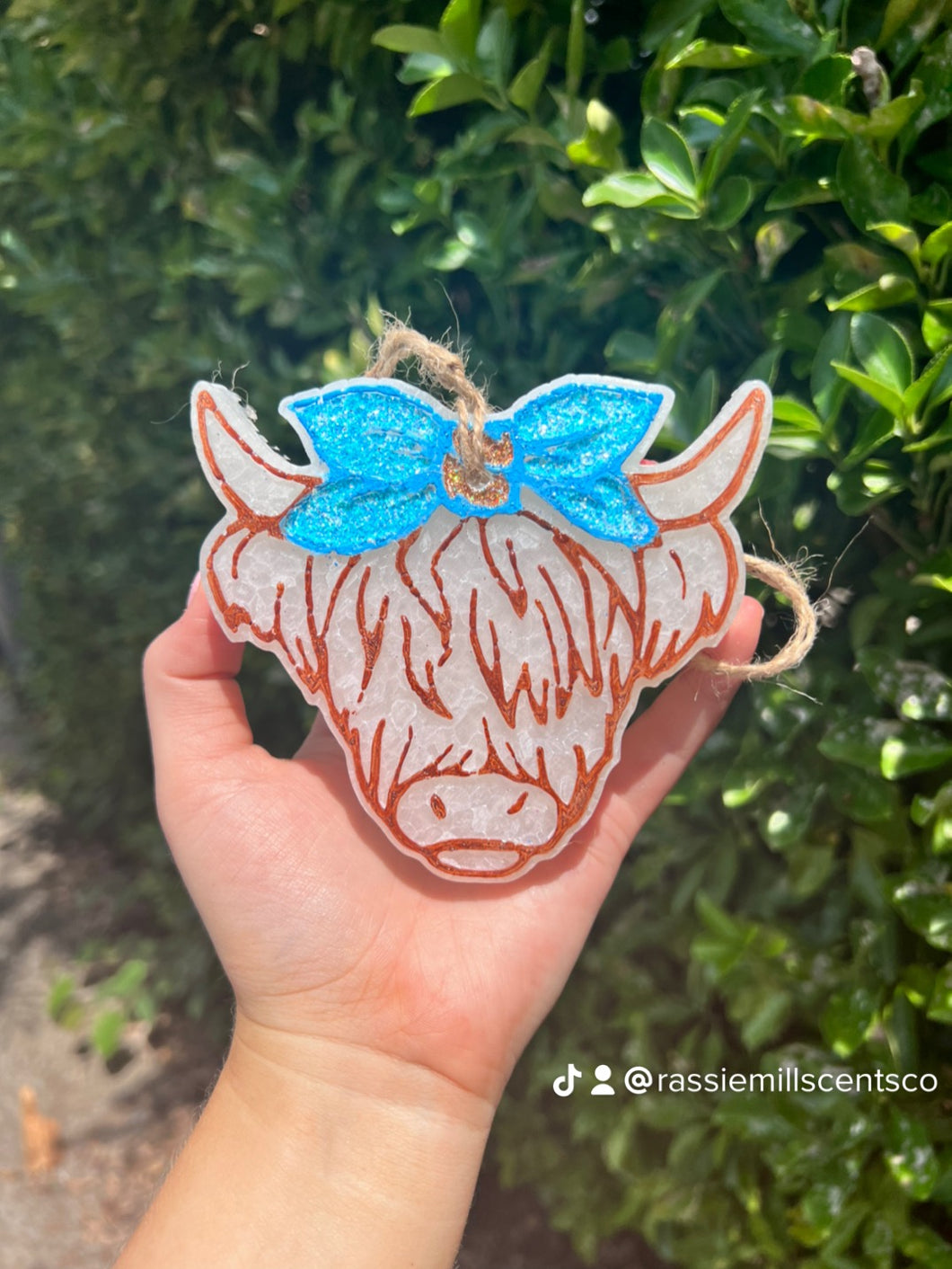 Highland Cow